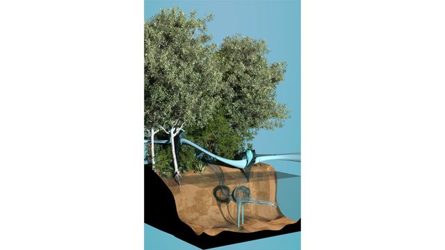 Slide 6